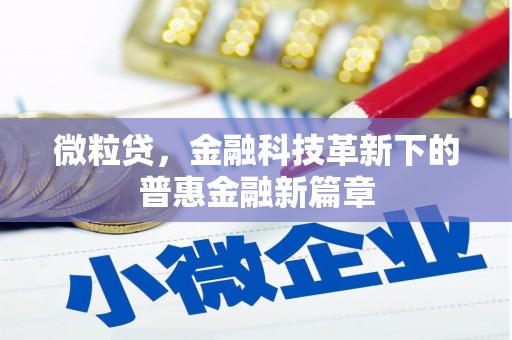 薛城微粒贷，金融科技革新下的普惠金融新篇章