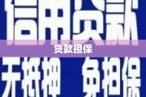 薛城贷款担保