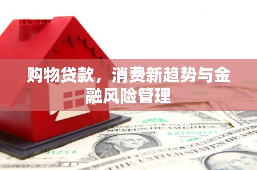 薛城购物贷款，消费新趋势与金融风险管理