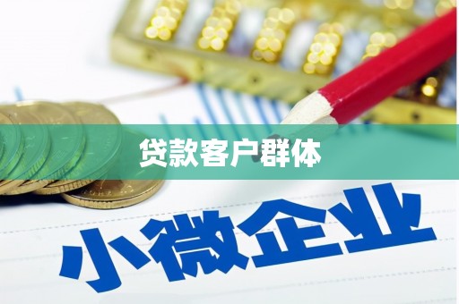 薛城贷款客户群体