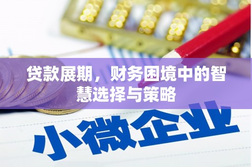 薛城贷款展期，财务困境中的智慧选择与策略