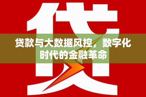 薛城贷款与大数据风控，数字化时代的金融革命