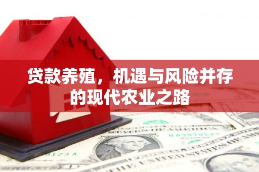 薛城贷款养殖，机遇与风险并存的现代农业之路