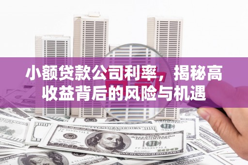 薛城小额贷款公司利率，揭秘高收益背后的风险与机遇