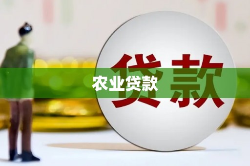 薛城农业贷款
