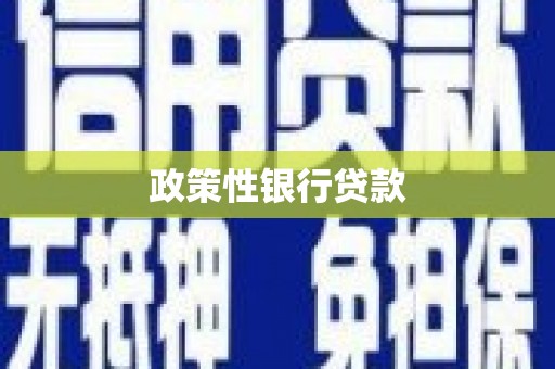 薛城政策性银行贷款