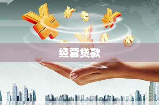 薛城经营贷款