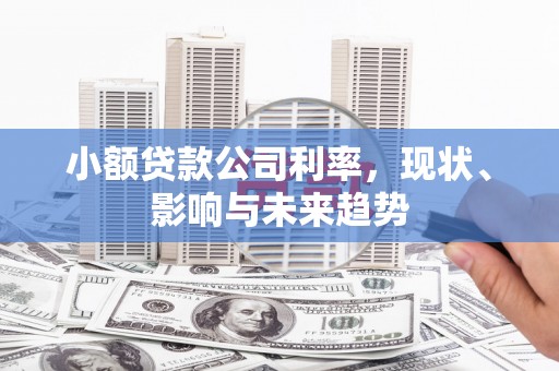 薛城小额贷款公司利率，现状、影响与未来趋势