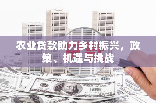 薛城农业贷款助力乡村振兴，政策、机遇与挑战