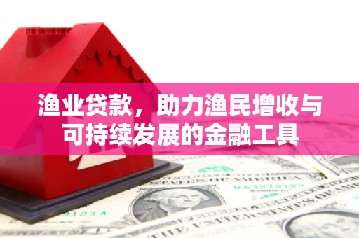 薛城渔业贷款，助力渔民增收与可持续发展的金融工具