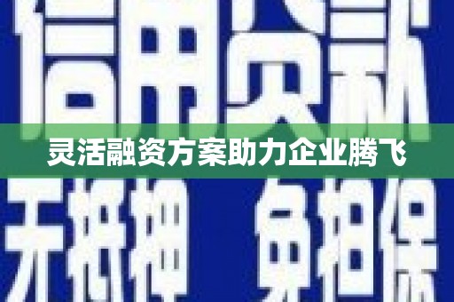 薛城灵活融资方案助力企业腾飞