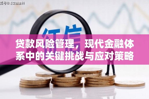 薛城贷款风险管理，现代金融体系中的关键挑战与应对策略