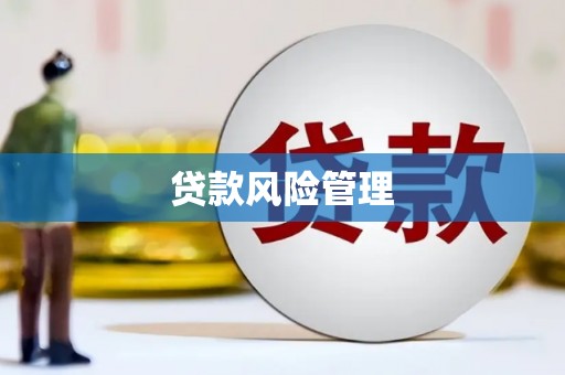 薛城贷款风险管理