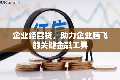 薛城企业经营贷，助力企业腾飞的关键金融工具