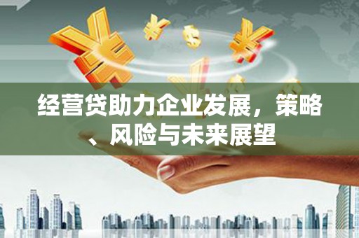 薛城经营贷助力企业发展，策略、风险与未来展望