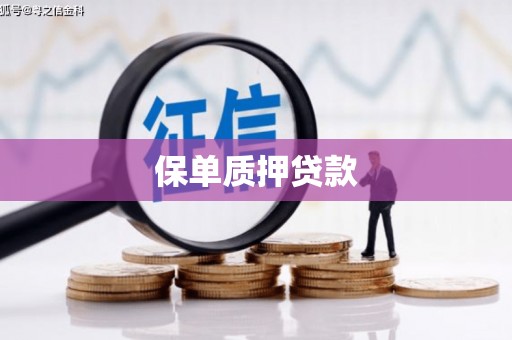 薛城保单质押贷款
