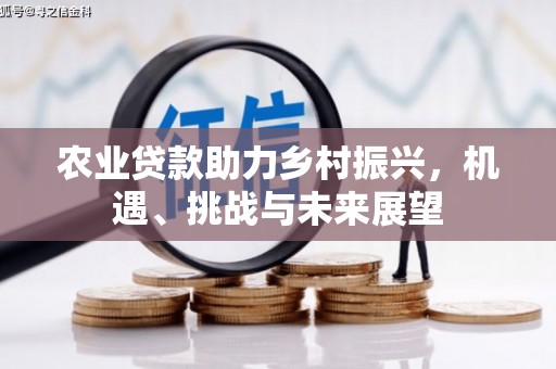 薛城农业贷款助力乡村振兴，机遇、挑战与未来展望
