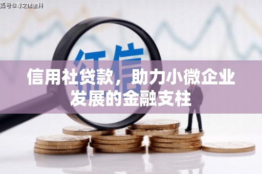 薛城信用社贷款，助力小微企业发展的金融支柱