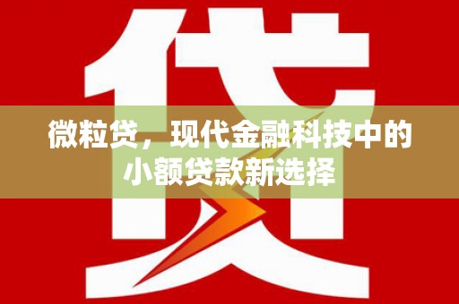 薛城微粒贷，现代金融科技中的小额贷款新选择