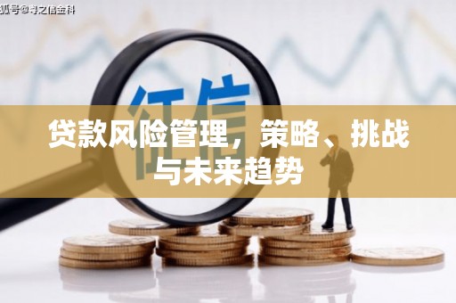 薛城贷款风险管理，策略、挑战与未来趋势