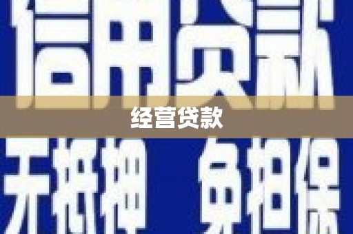 薛城经营贷款
