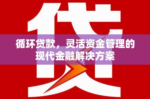薛城循环贷款，灵活资金管理的现代金融解决方案