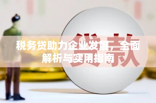 薛城税务贷助力企业发展，全面解析与实用指南