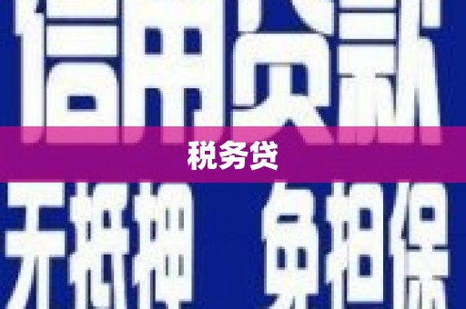 薛城税务贷