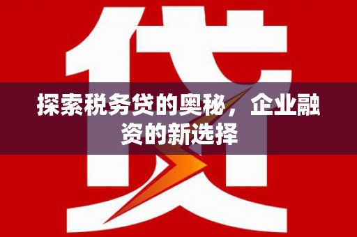 薛城探索税务贷的奥秘，企业融资的新选择