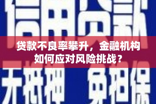 薛城贷款不良率攀升，金融机构如何应对风险挑战？