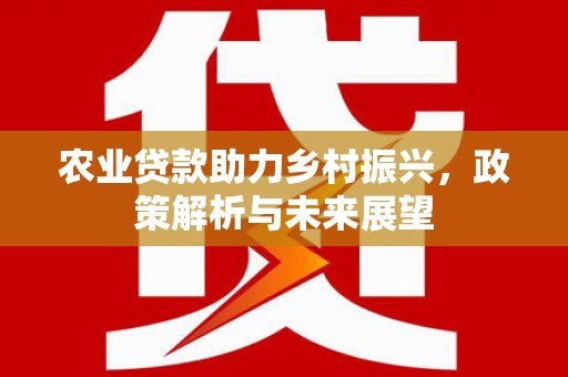 薛城农业贷款助力乡村振兴，政策解析与未来展望
