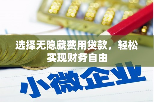薛城选择无隐藏费用贷款，轻松实现财务自由