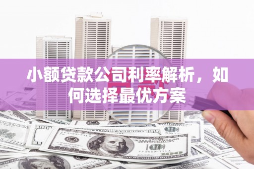 薛城小额贷款公司利率解析，如何选择最优方案