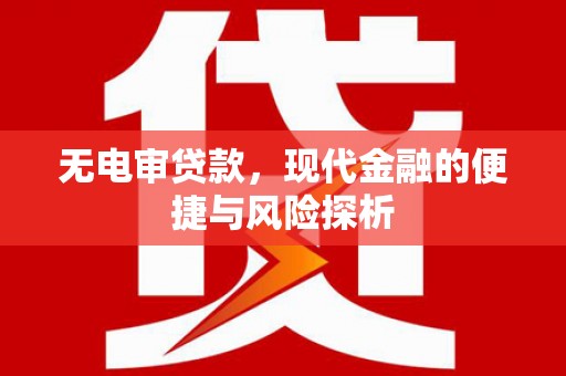 薛城无电审贷款，现代金融的便捷与风险探析