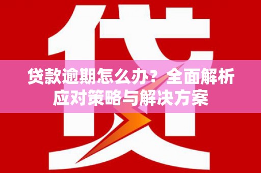 薛城贷款逾期怎么办？全面解析应对策略与解决方案
