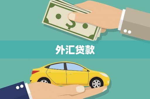 薛城外汇贷款