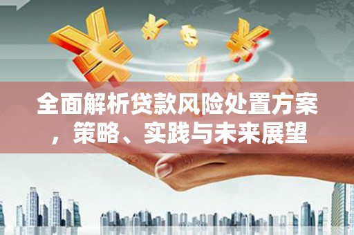 薛城全面解析贷款风险处置方案，策略、实践与未来展望