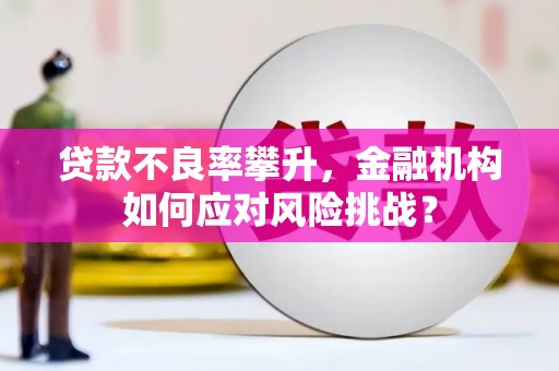 薛城贷款不良率攀升，金融机构如何应对风险挑战？