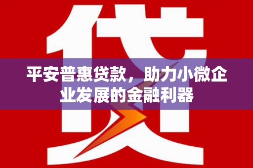 薛城平安普惠贷款，助力小微企业发展的金融利器