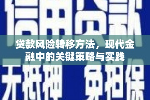 薛城贷款风险转移方法，现代金融中的关键策略与实践