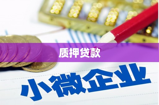 薛城质押贷款