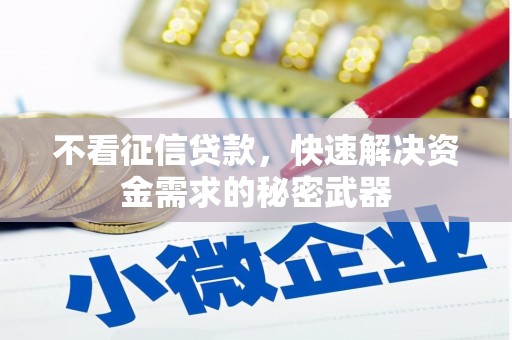 薛城不看征信贷款，快速解决资金需求的秘密武器