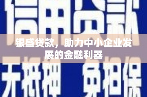 薛城银盛贷款，助力中小企业发展的金融利器