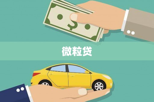 薛城微粒贷
