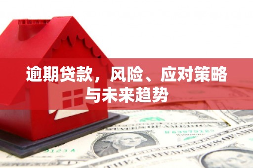 薛城逾期贷款，风险、应对策略与未来趋势