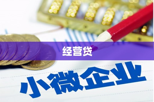 薛城经营贷