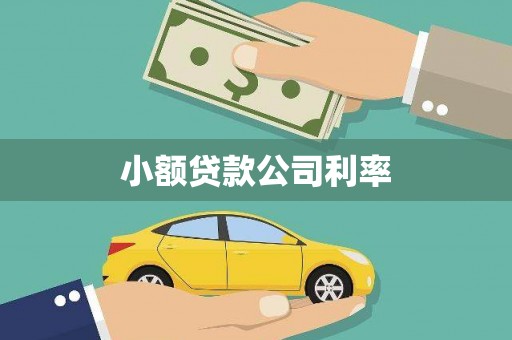 薛城小额贷款公司利率