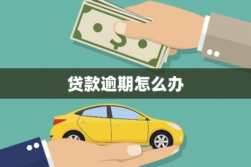 薛城贷款逾期怎么办