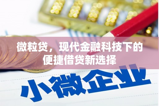 薛城微粒贷，现代金融科技下的便捷借贷新选择