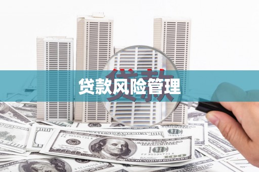 薛城贷款风险管理